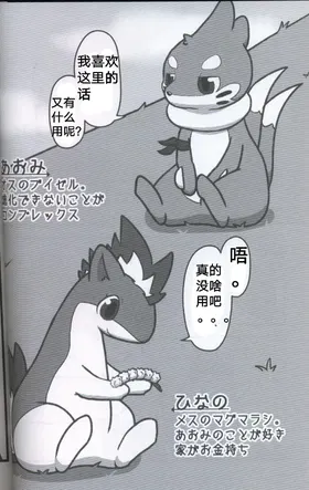 第 3 頁