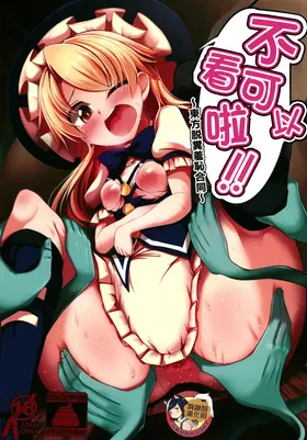Micha Damee! ~Touhou Dappun Shuuchi Goudou~ | 不可以看啦! ~東方脫糞羞恥合同~