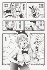 第 6 頁