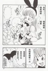 第 7 頁