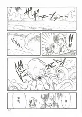 第 5 頁