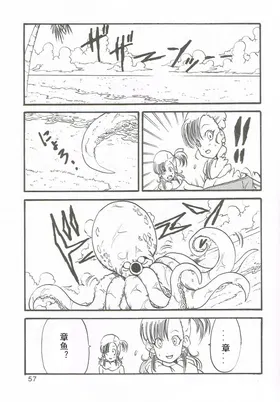 第 5 頁
