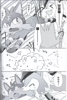 第 3 頁