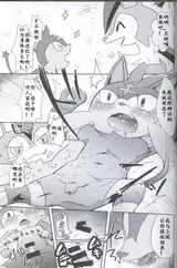 第 4 頁