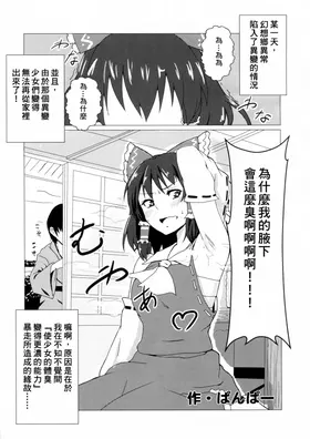第 3 頁