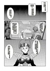 第 5 頁