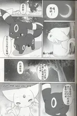 第 4 頁