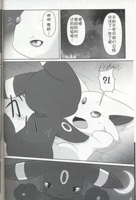 第 5 頁