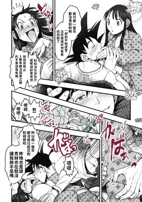 第 5 頁
