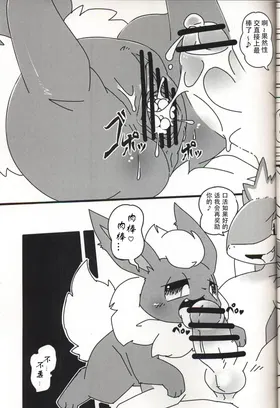 第 8 頁