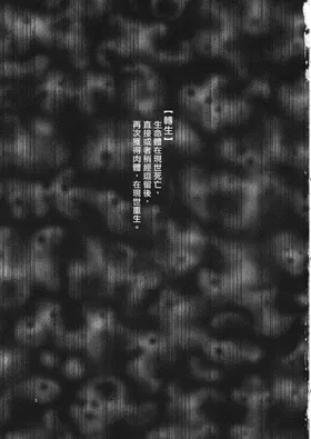 第 2 頁
