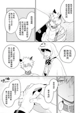 第 8 頁