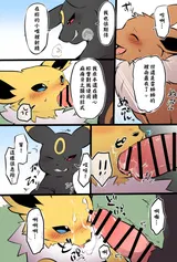 第 6 頁