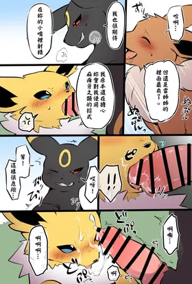 第 6 頁