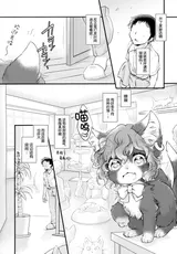 第 3 頁