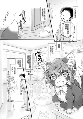 第 3 頁