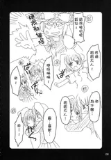第 8 頁