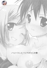 第 2 頁
