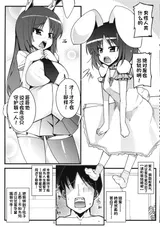 第 4 頁