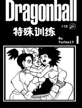 第 1 頁