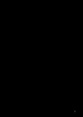 第 3 頁