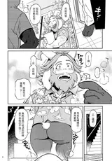 第 5 頁