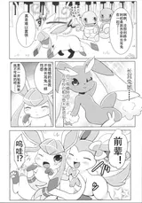 第 5 頁
