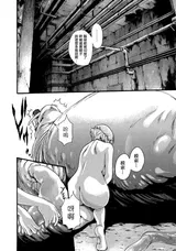 第 8 頁