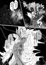 第 4 頁