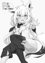 第 3 頁