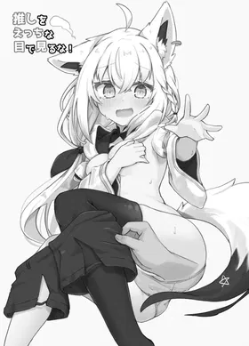 第 3 頁