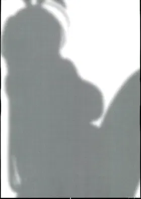 第 3 頁