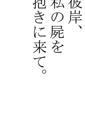 第 3 頁