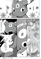 第 7 頁