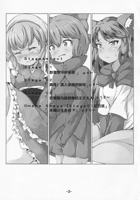 第 3 頁