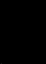 第 3 頁