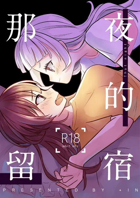 那夜的留宿 - That night