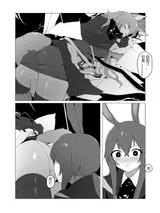 第 4 頁