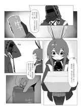 第 3 頁