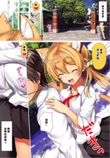 第 6 頁