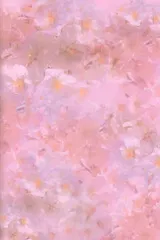 第 2 頁