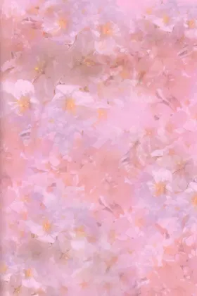 第 2 頁