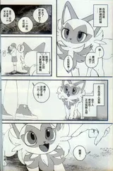 第 3 頁