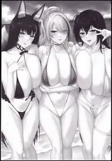 第 3 頁