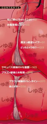 第 2 頁
