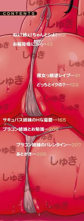 第 2 頁
