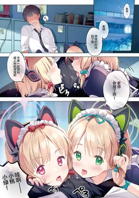 第 5 頁