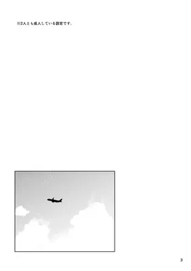 第 3 頁
