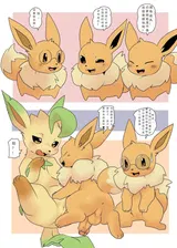 第 5 頁