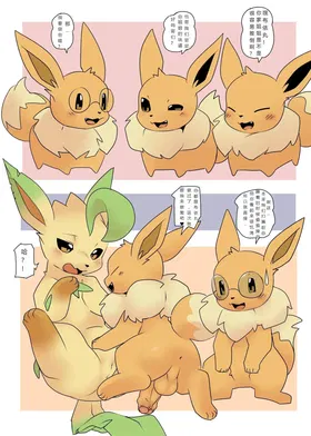 第 5 頁